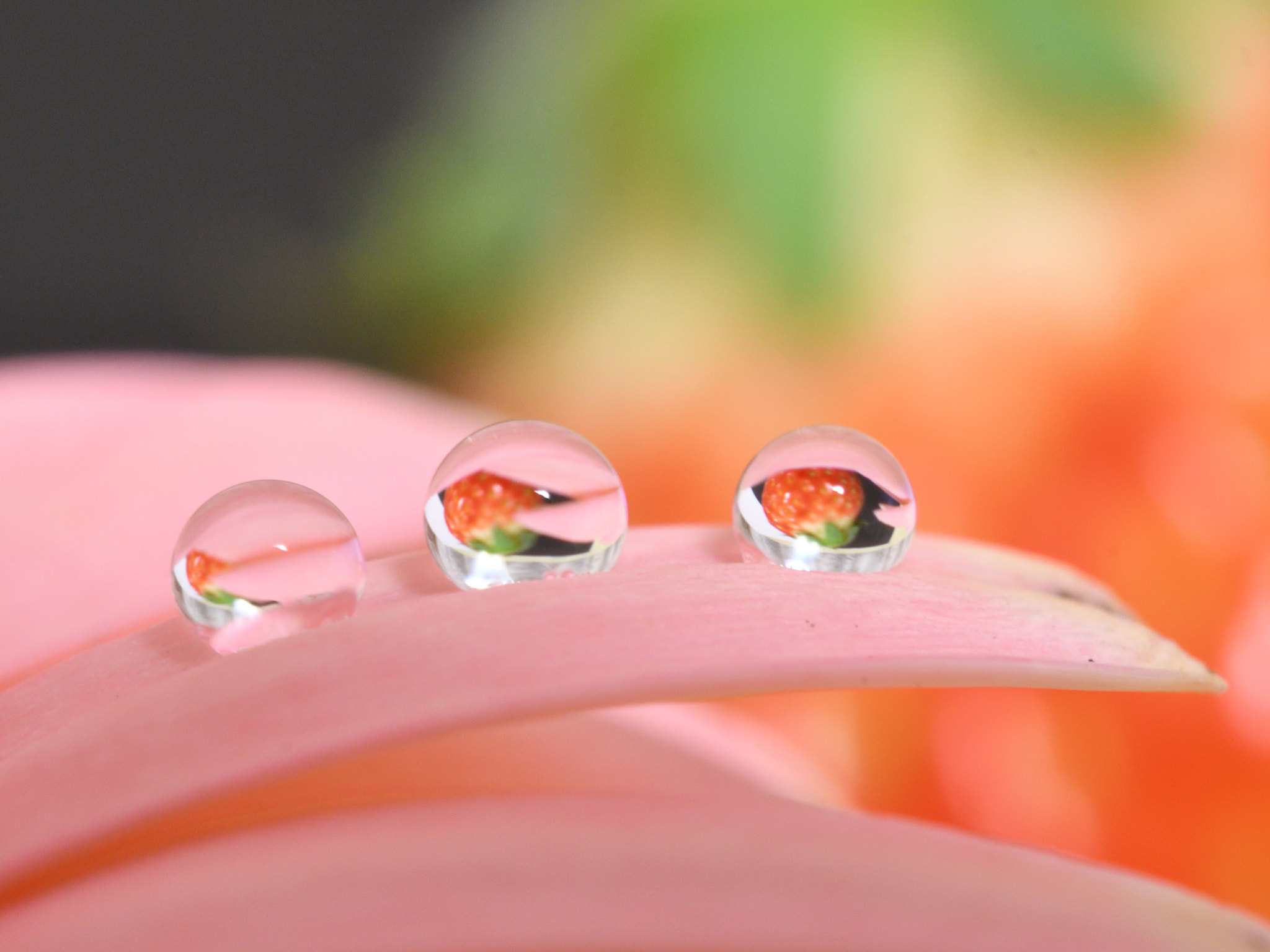 Nikon D500 + Nikon AF-S Micro-Nikkor 60mm F2.8G ED sample photo. Strawberry in drops photography