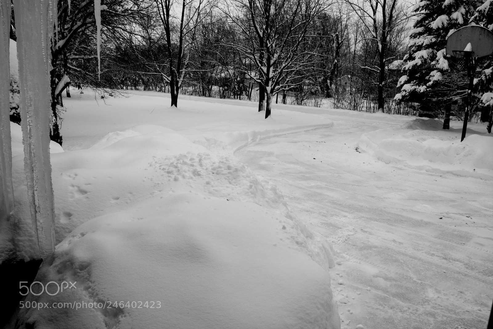 Nikon D5200 sample photo. Dsc winter february 2018 photography