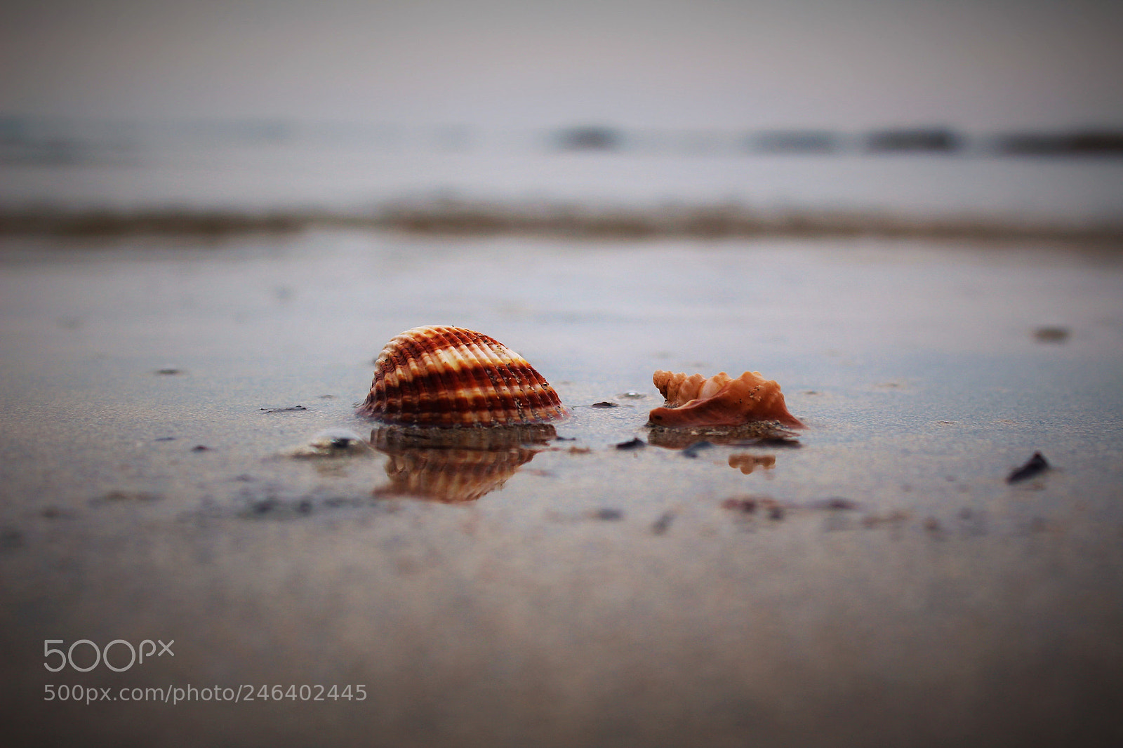 Canon EOS 1300D (EOS Rebel T6 / EOS Kiss X80) sample photo. Seascape in winter photography