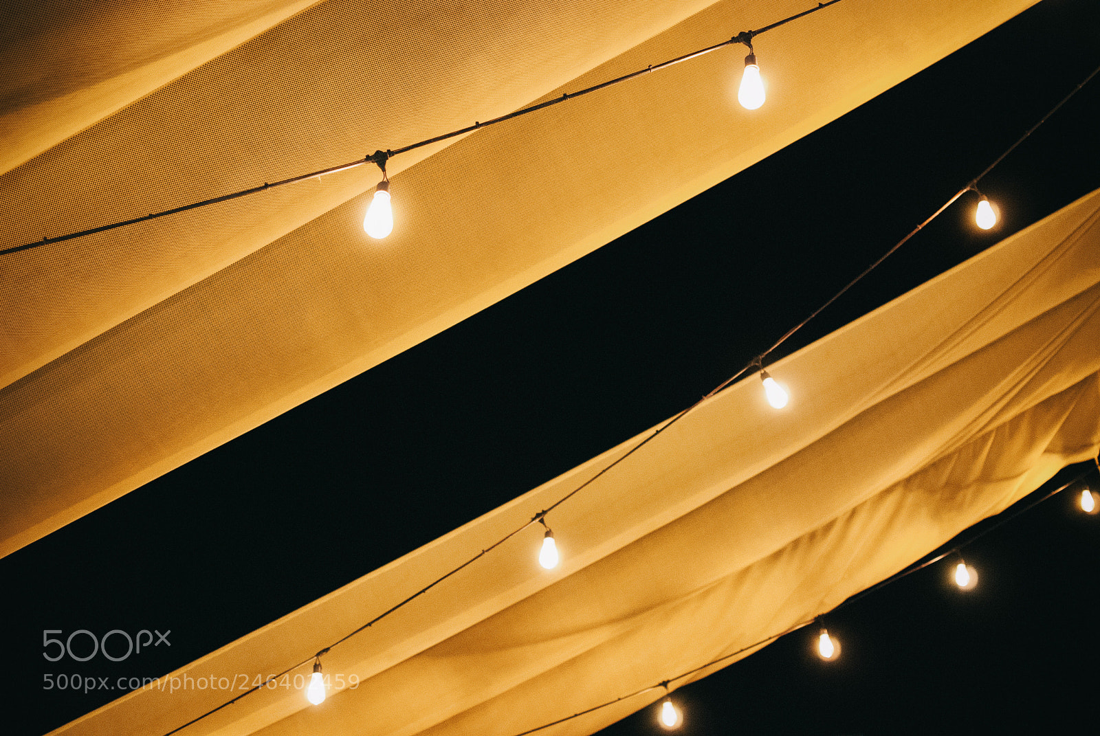 Nikon D80 sample photo. Yellow photography