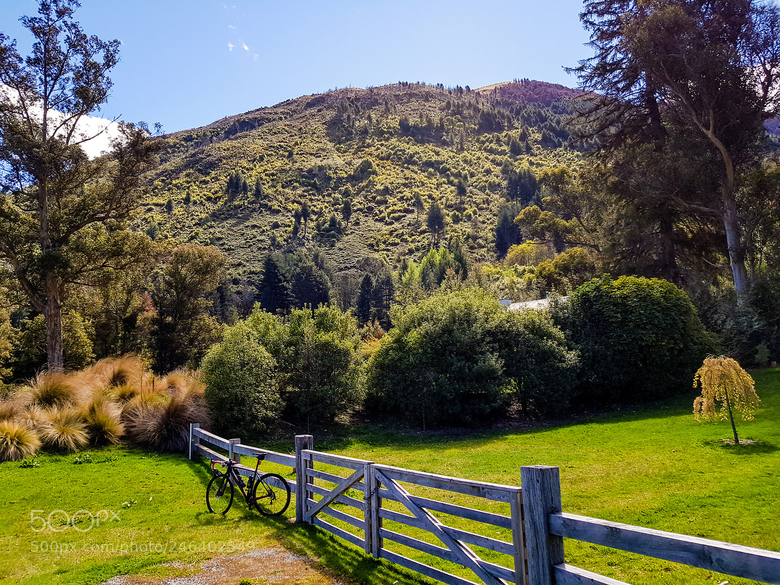 Samsung Galaxy S8 sample photo. Glenorchy, south new zealand photography