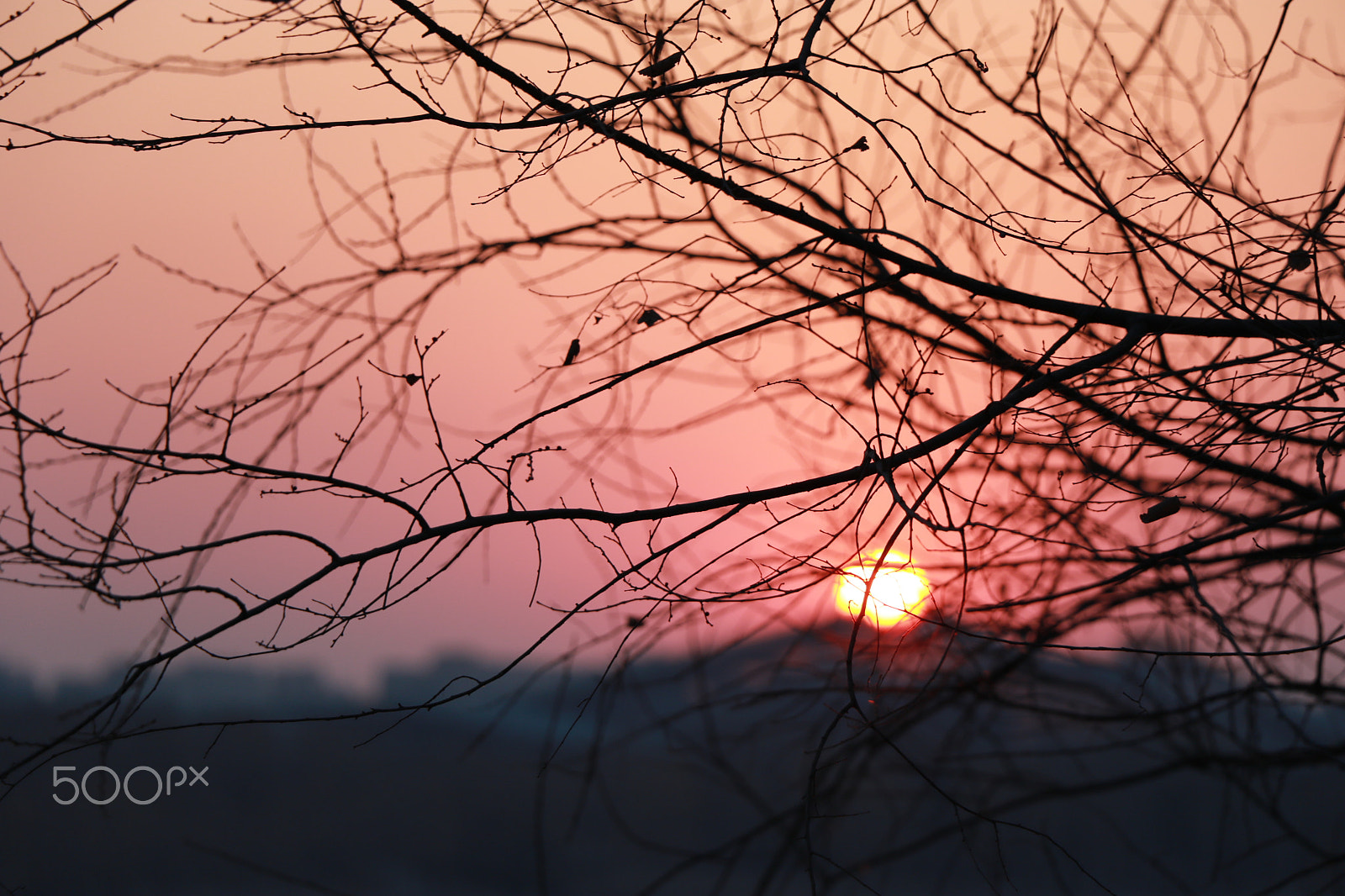 Canon EOS 7D Mark II sample photo. Dm photography