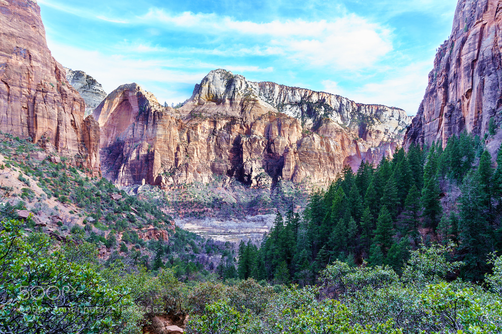 Sony a9 sample photo. Zion natl park photography
