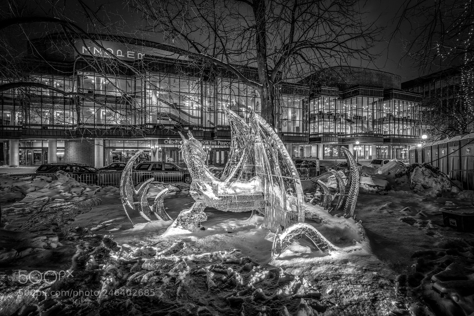 Canon EOS 6D Mark II sample photo. Dragon photography