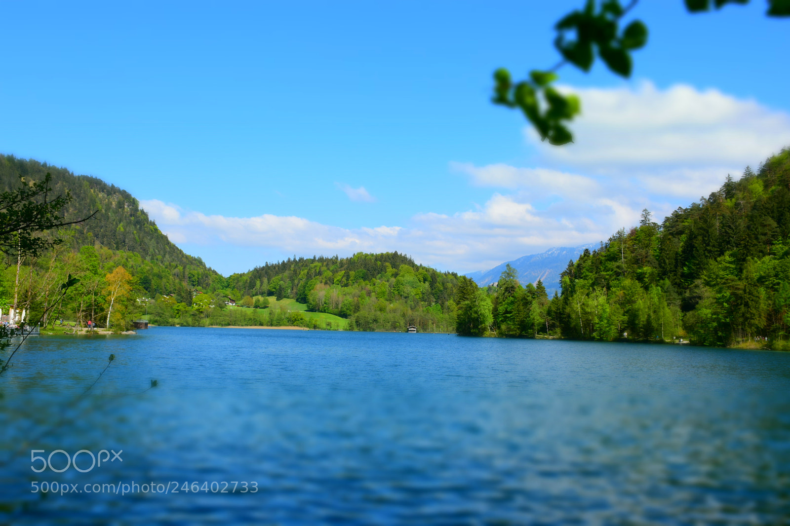 Nikon D7200 sample photo. Untitled photography