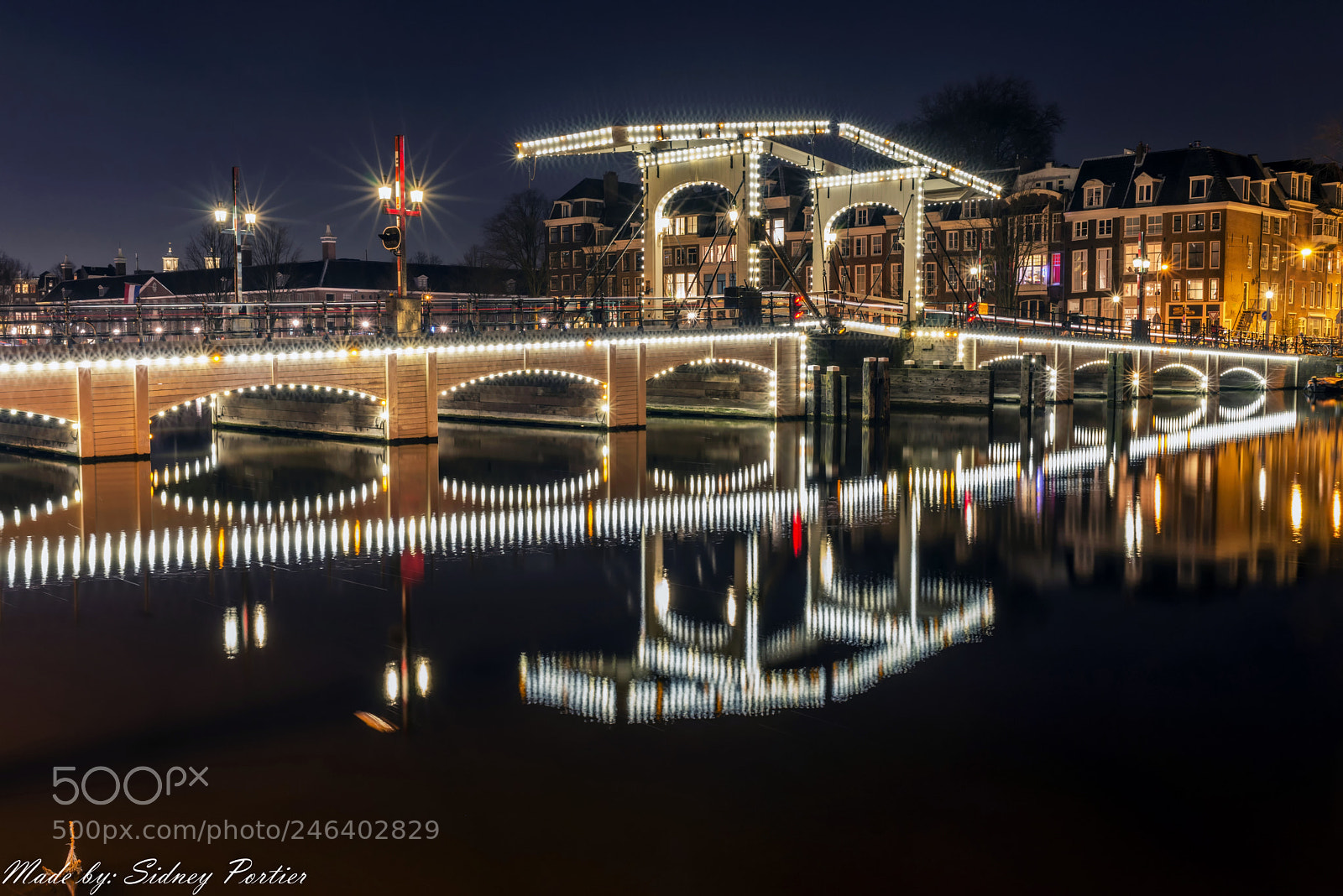Nikon D600 sample photo. De magere brug in photography