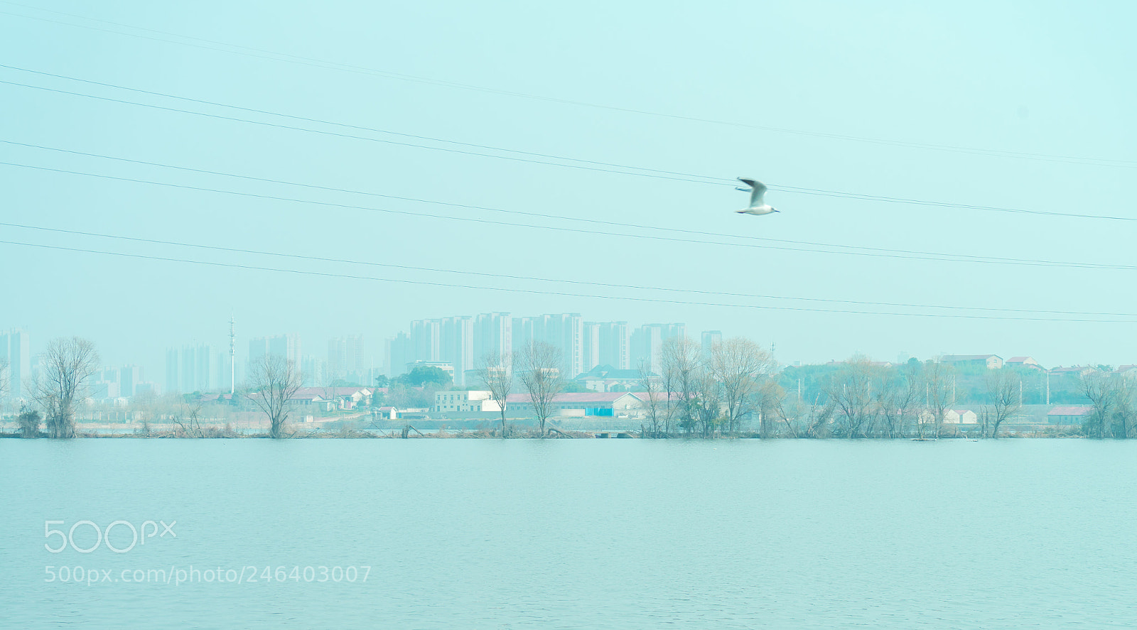 Sony a7 II sample photo. Peace photography