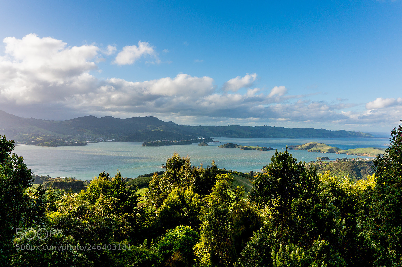 Sony Alpha a5000 (ILCE 5000) sample photo. Larnach castle, dunedin, south photography