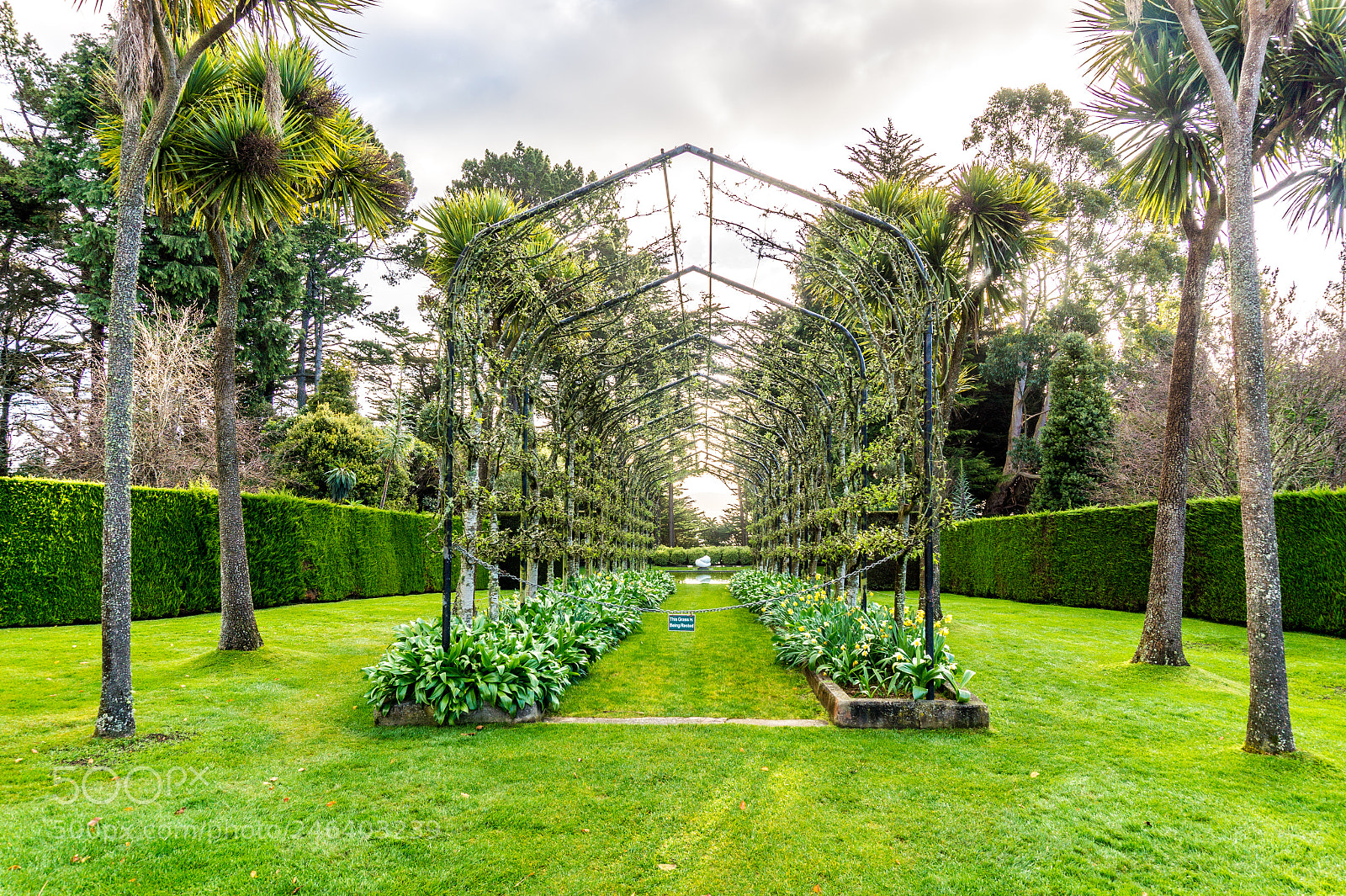 Sony Alpha a5000 (ILCE 5000) sample photo. Larnach castle, dunedin, south photography