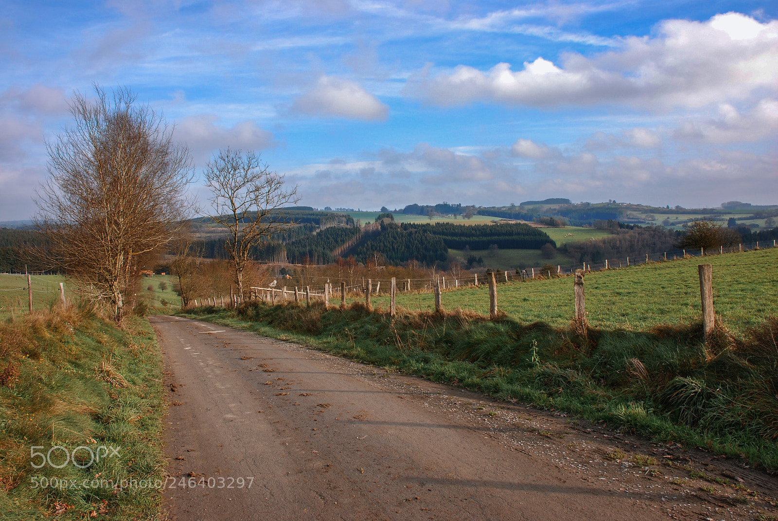 Nikon D80 sample photo. Wibrin belgium photography
