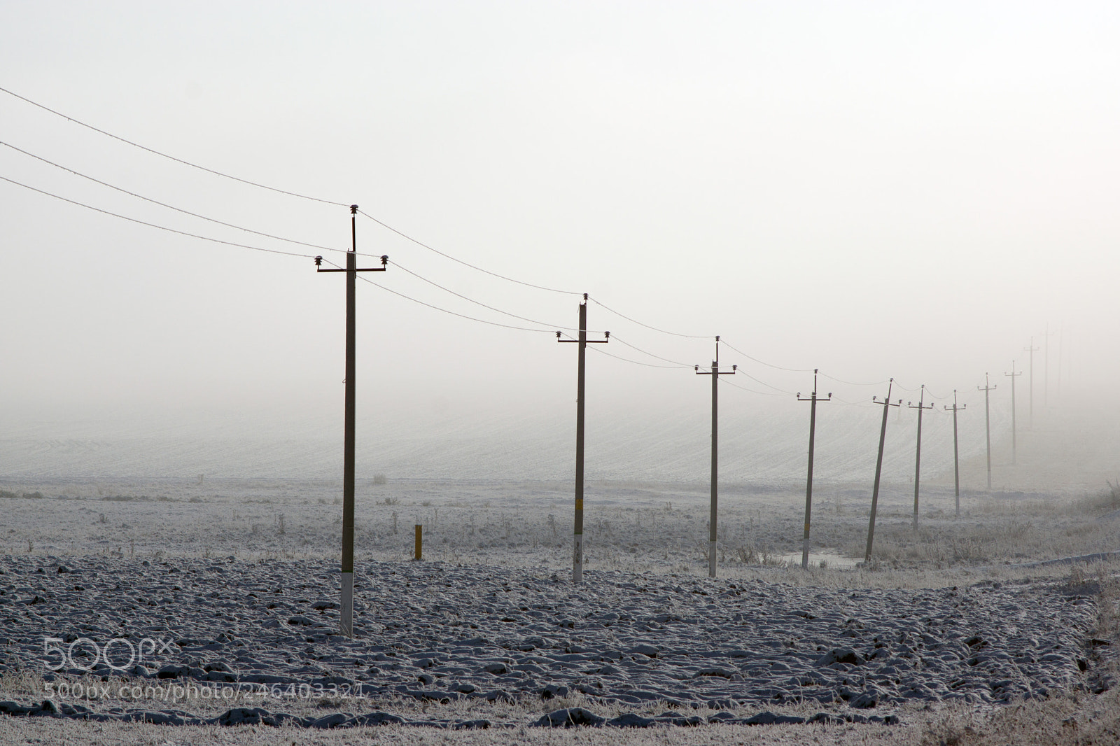 Sony SLT-A77 sample photo. Power line photography