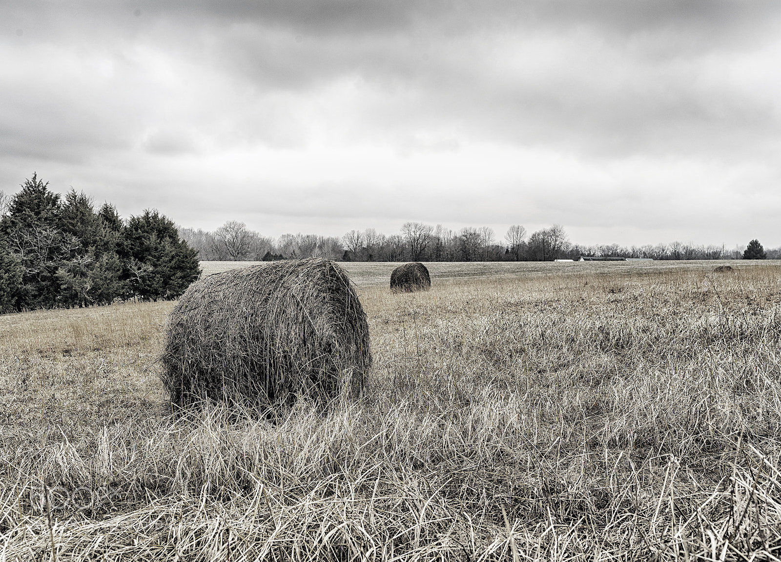 Pentax 645Z sample photo. The field photography