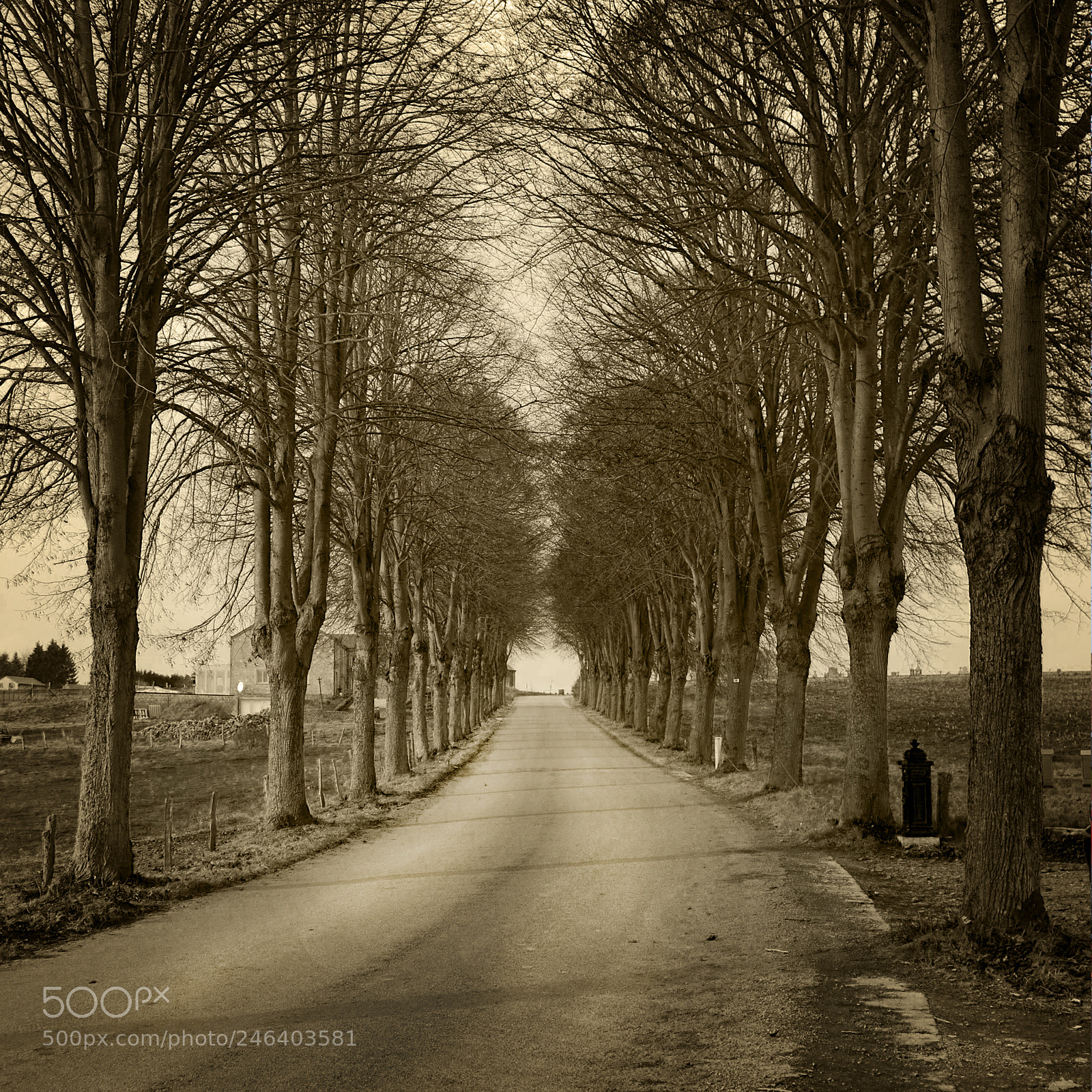 Nikon D80 sample photo. Wibrin belgium photography