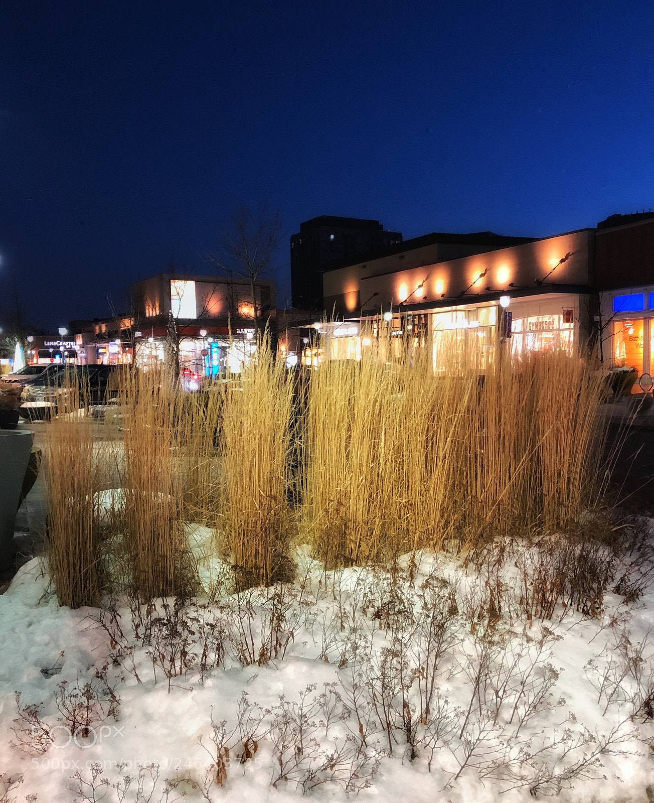 Apple iPhone X sample photo. Blue hour photography