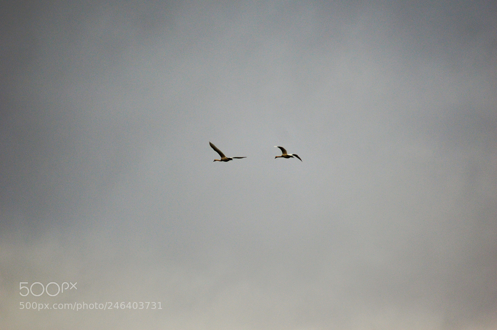 Nikon D3200 sample photo. () photography