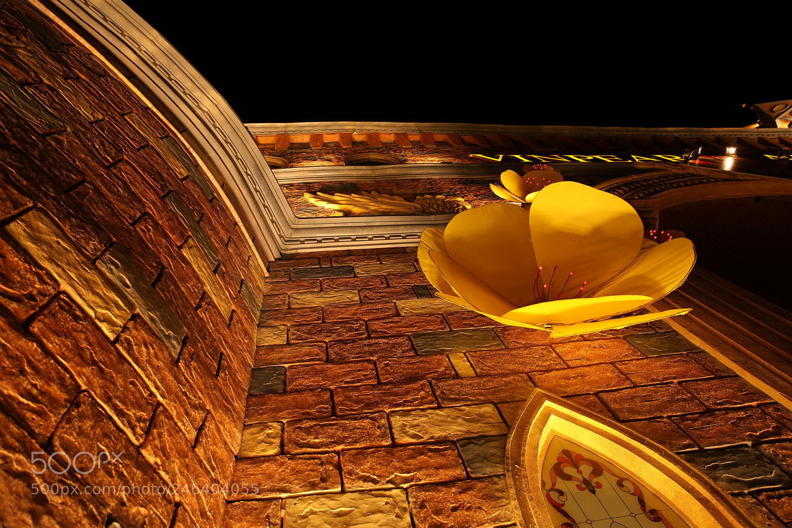 Canon EF 24-70mm F2.8L II USM sample photo. Untitled photography