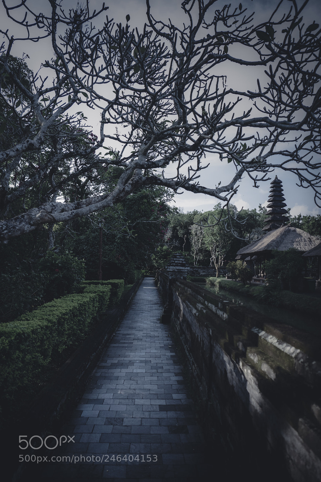 Fujifilm X-Pro2 sample photo. Mystery walk photography