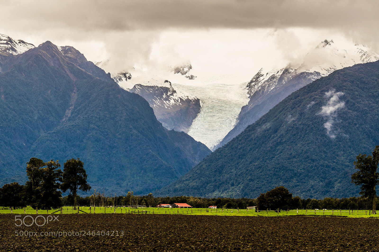 Sony Alpha a5000 (ILCE 5000) sample photo. Fox glacier, south new photography
