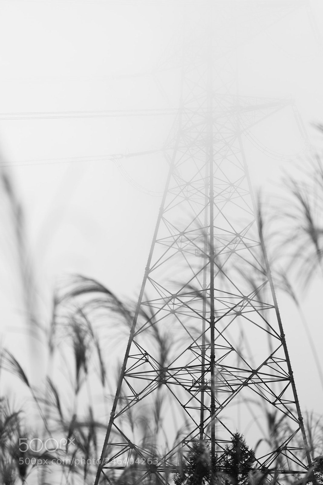 Nikon D810 sample photo. To decay photography