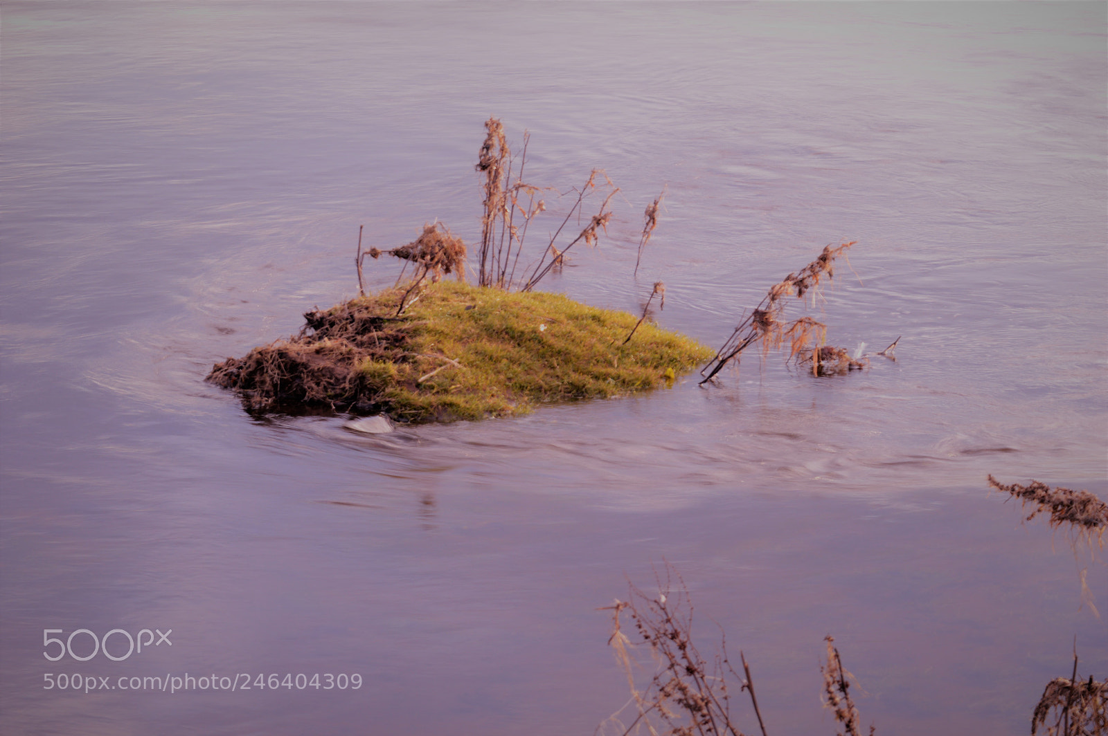 Nikon D3200 sample photo. () photography