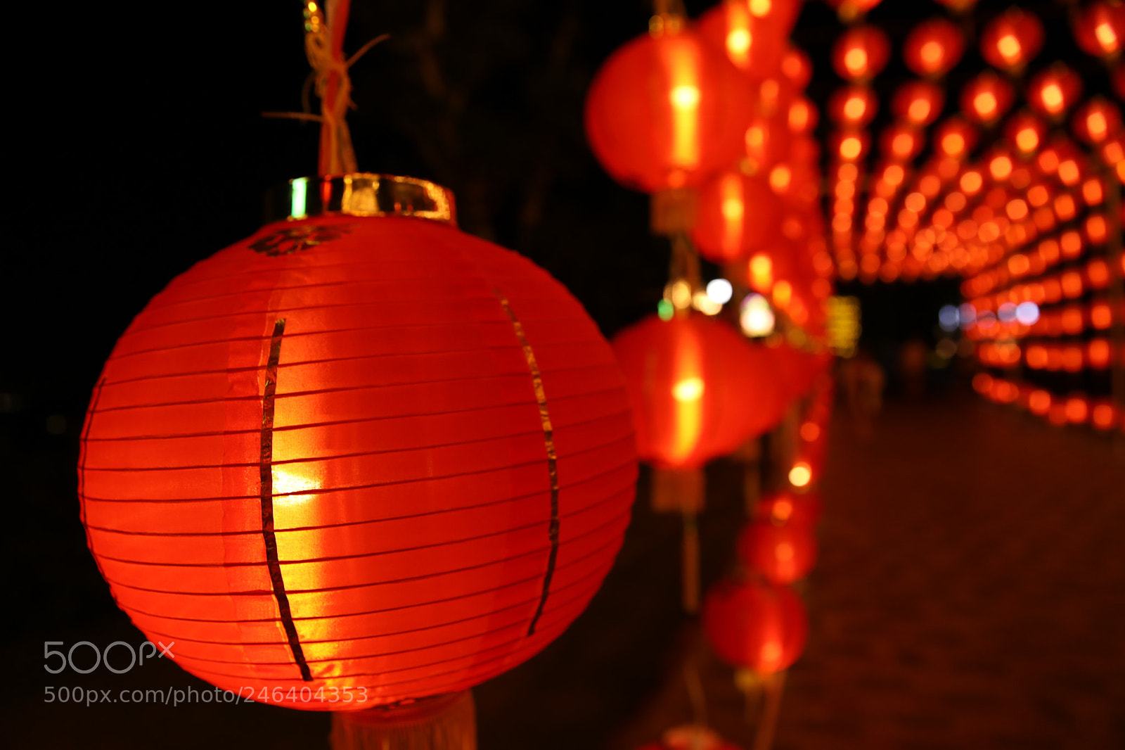 Canon EF 24-70mm F2.8L II USM sample photo. Untitled photography
