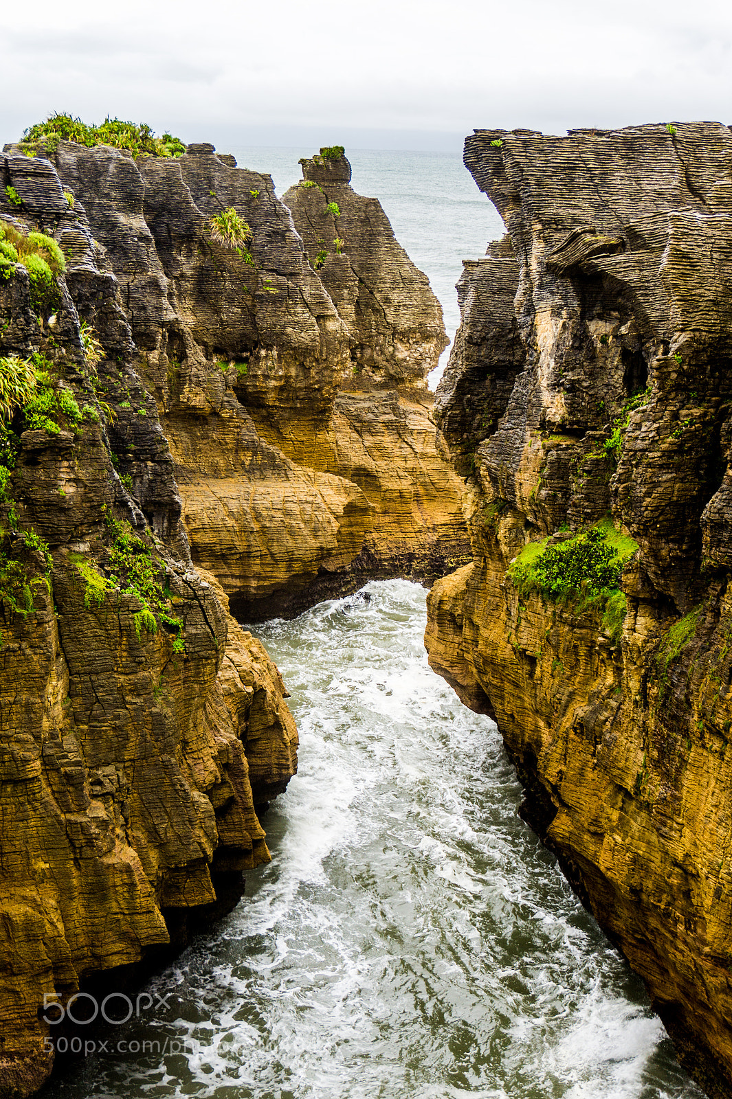 Sony Alpha a5000 (ILCE 5000) sample photo. Punakaiki, south new zealand photography