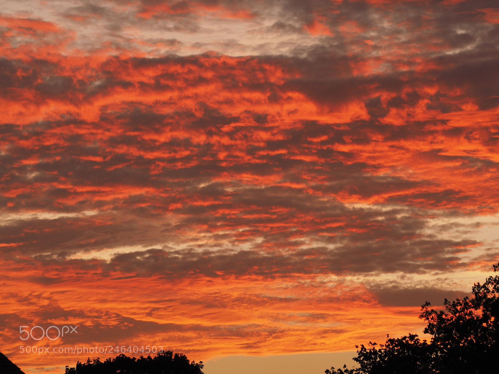 Olympus OM-D E-M10 II sample photo. Sunset in queens photography
