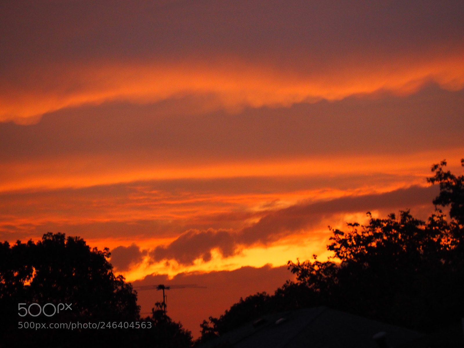 Olympus OM-D E-M10 II sample photo. Fire in the sky photography