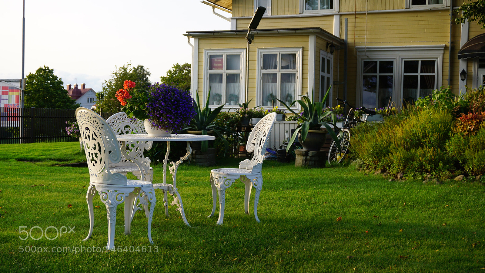 Sony a6000 + Sony E 18-50mm F4-5.6 sample photo. Dsc photography