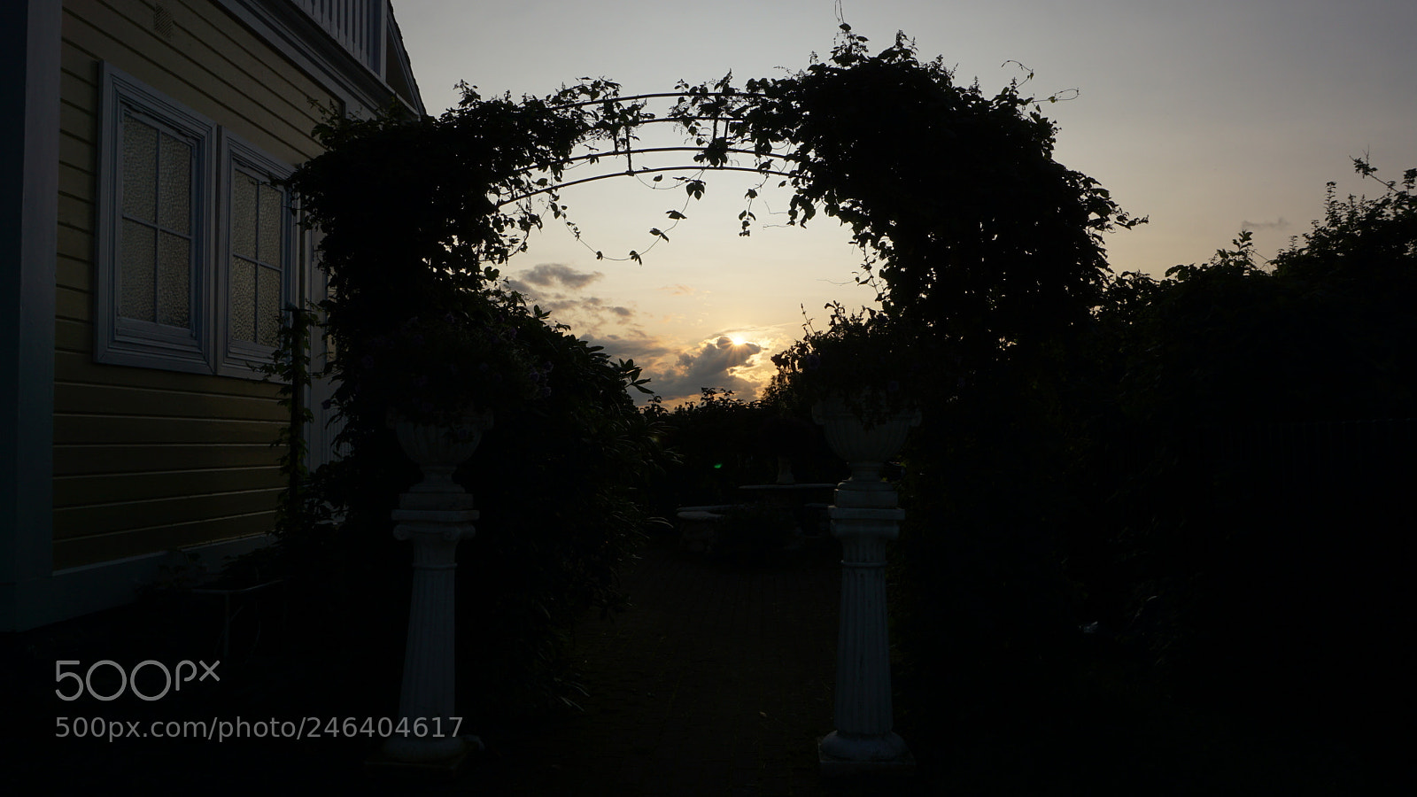 Sony E 16-50mm F3.5-5.6 PZ OSS sample photo. Dsc photography
