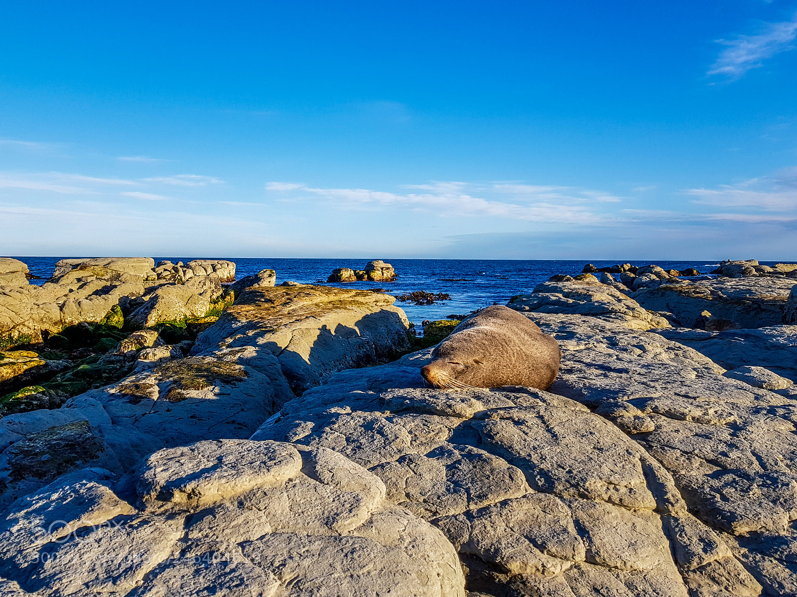 Samsung Galaxy S8 sample photo. Kaikoura, south new zealand photography