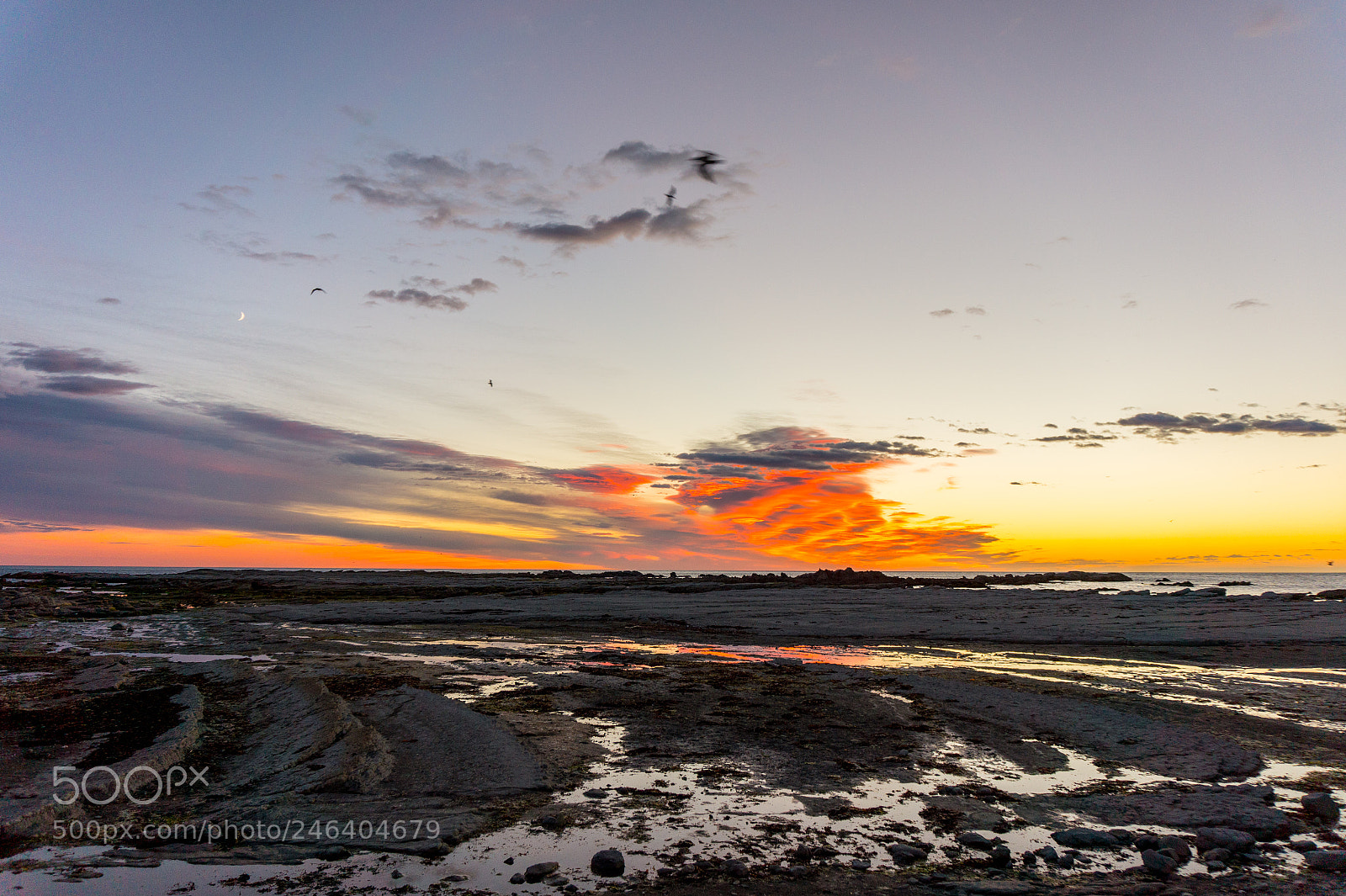 Sony Alpha a5000 (ILCE 5000) sample photo. Kaikoura, south new zealand photography