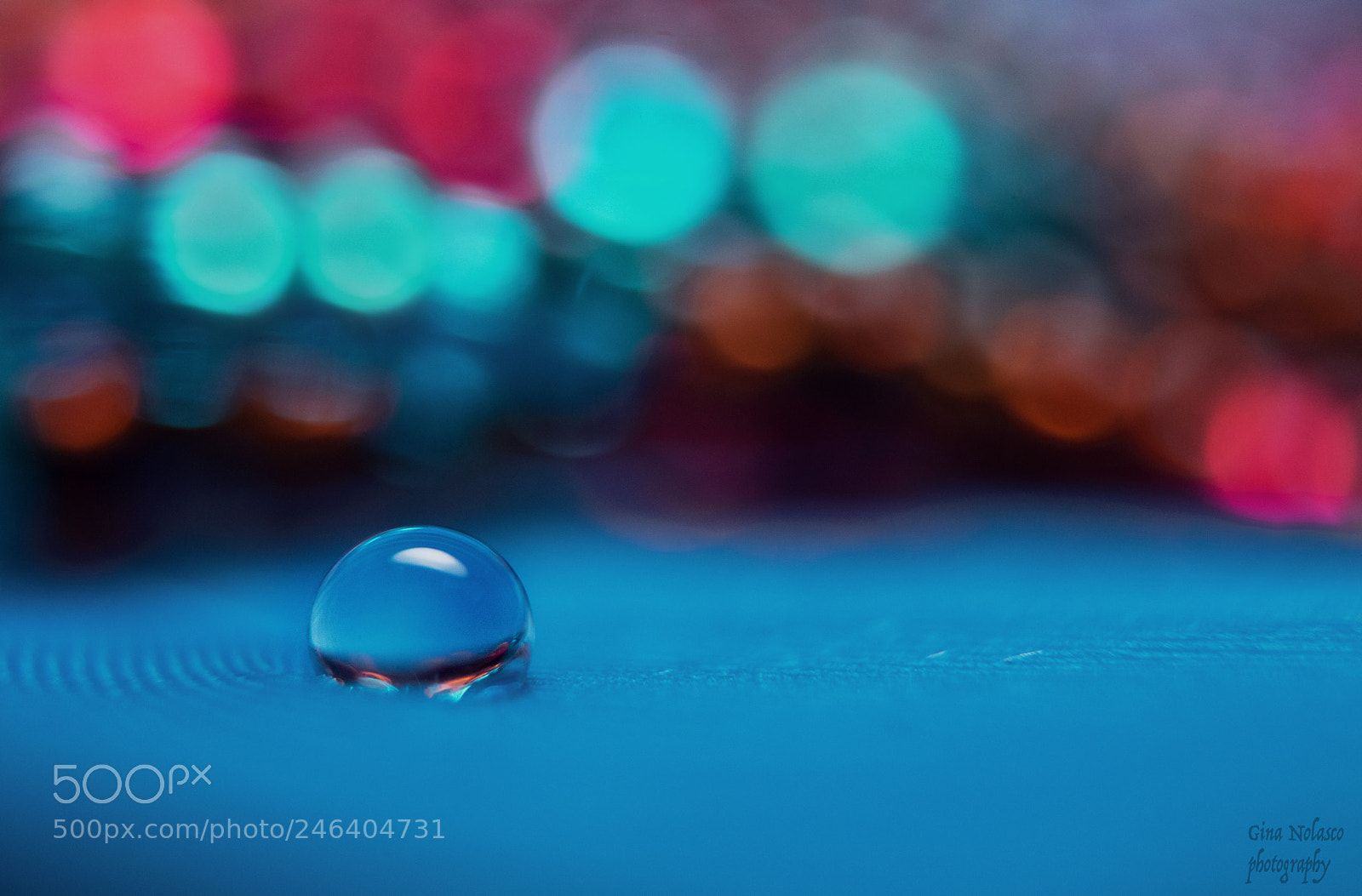 Nikon D5500 sample photo. The lonely droplet photography