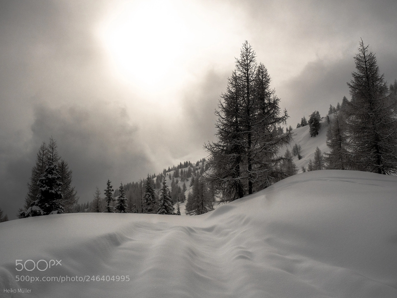 Olympus OM-D E-M5 II sample photo. Winter hike photography