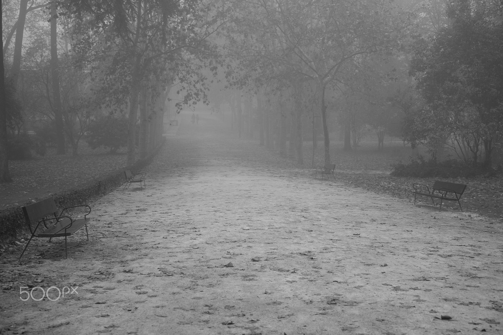 Canon EOS 5D + Canon EF 24-105mm F4L IS USM sample photo. Park photography