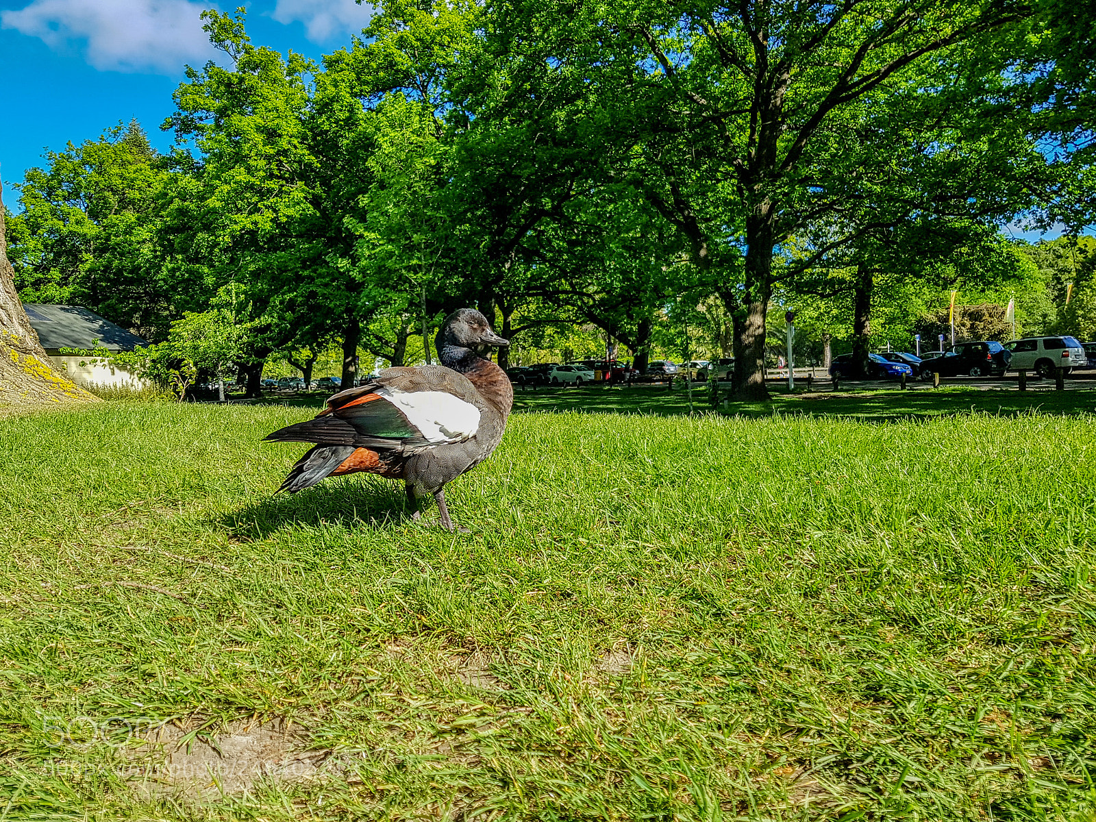 Samsung Galaxy S8 sample photo. Christchurch, south new zealand photography