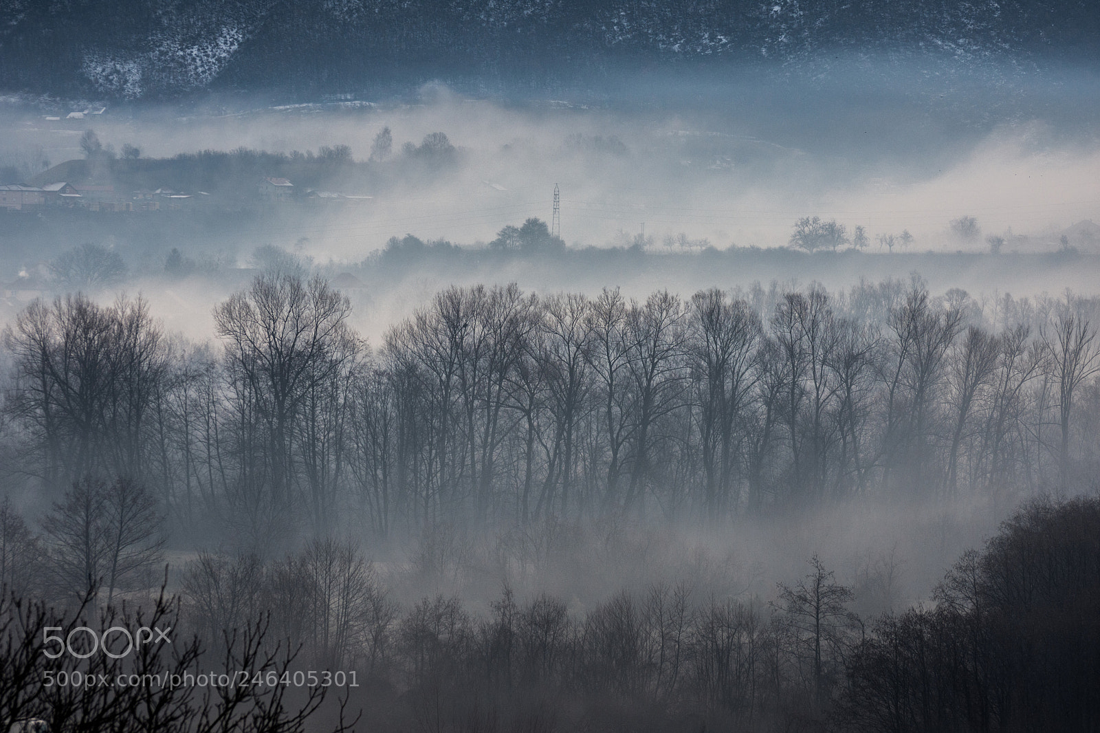 Nikon D7200 sample photo. Misty mornings photography