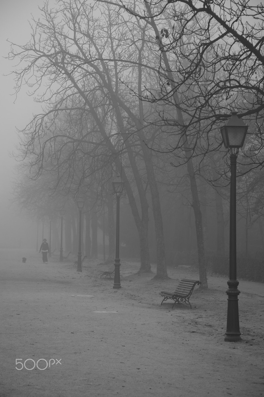 Canon EOS 5D + Canon EF 24-105mm F4L IS USM sample photo. Walking in the morning photography