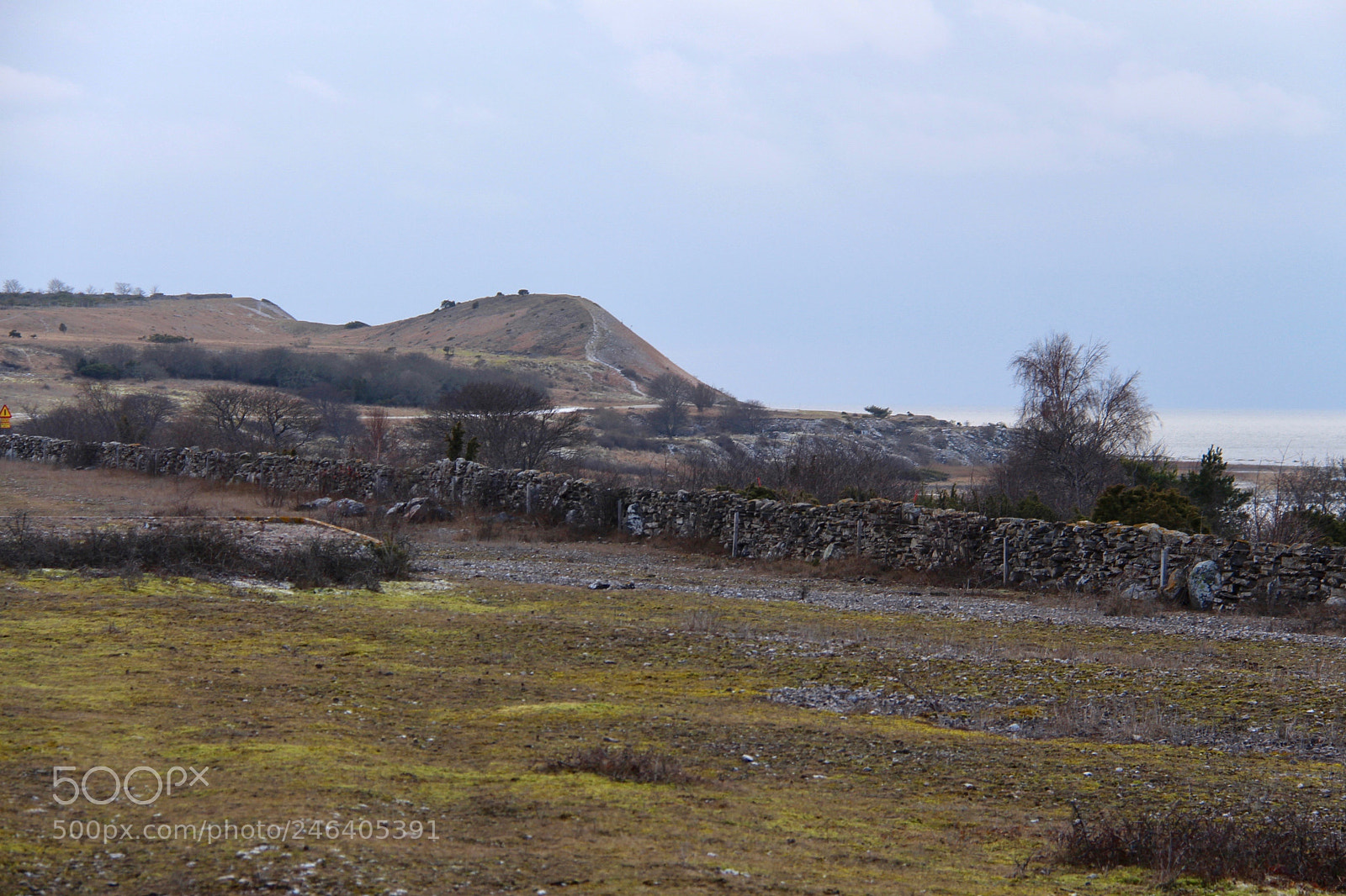 Canon EOS 700D (EOS Rebel T5i / EOS Kiss X7i) sample photo. Sundre gotland photography