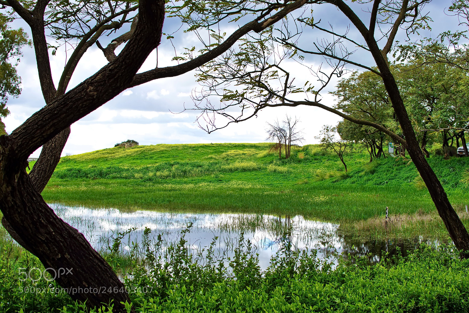 Nikon D7200 sample photo. Winter pond photography