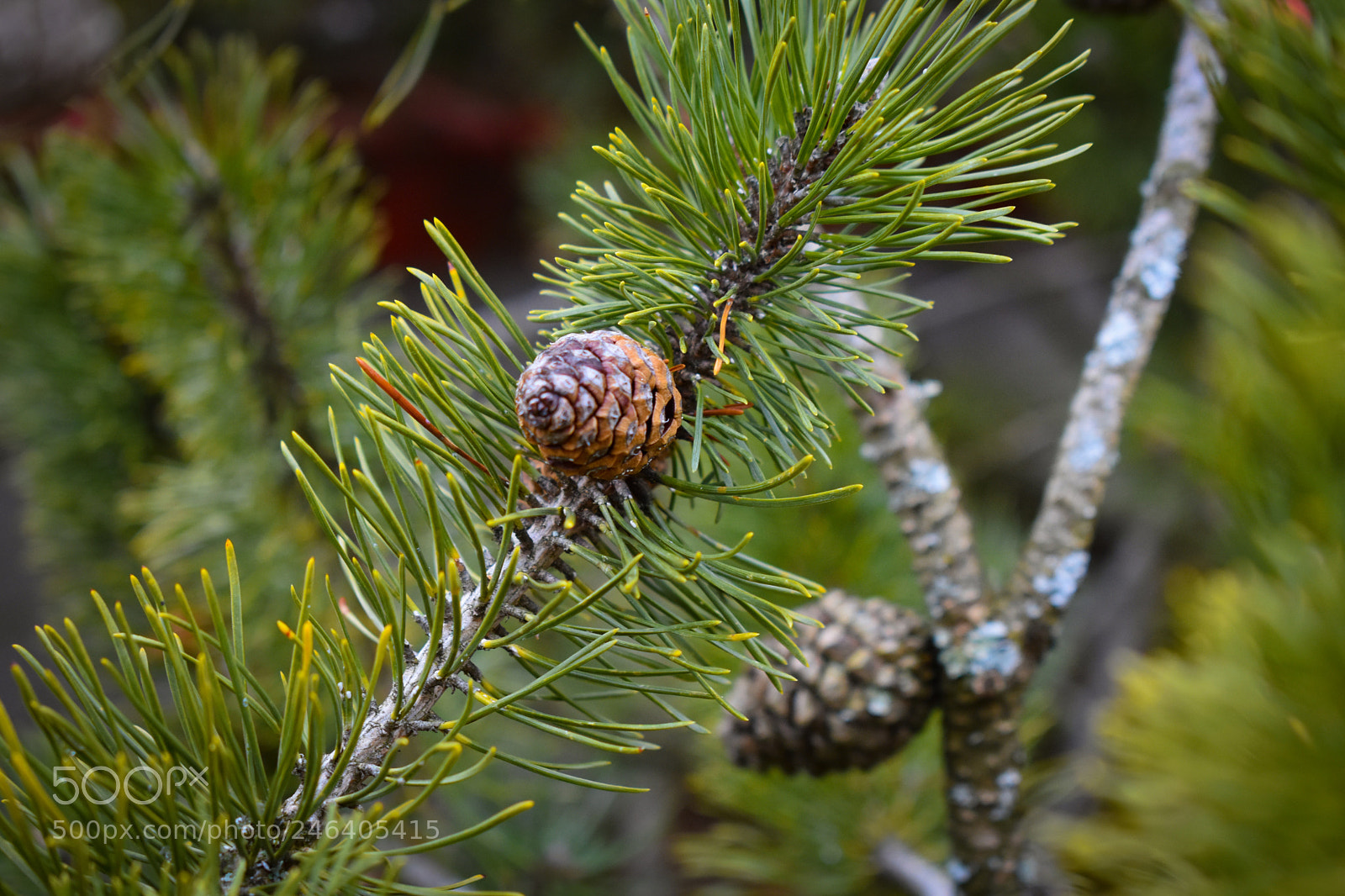Nikon D3400 sample photo. Portrait photography