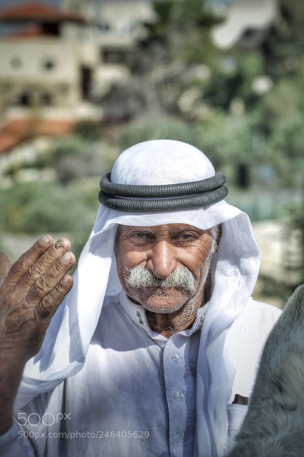 Canon EOS 7D sample photo. Kudüs photography