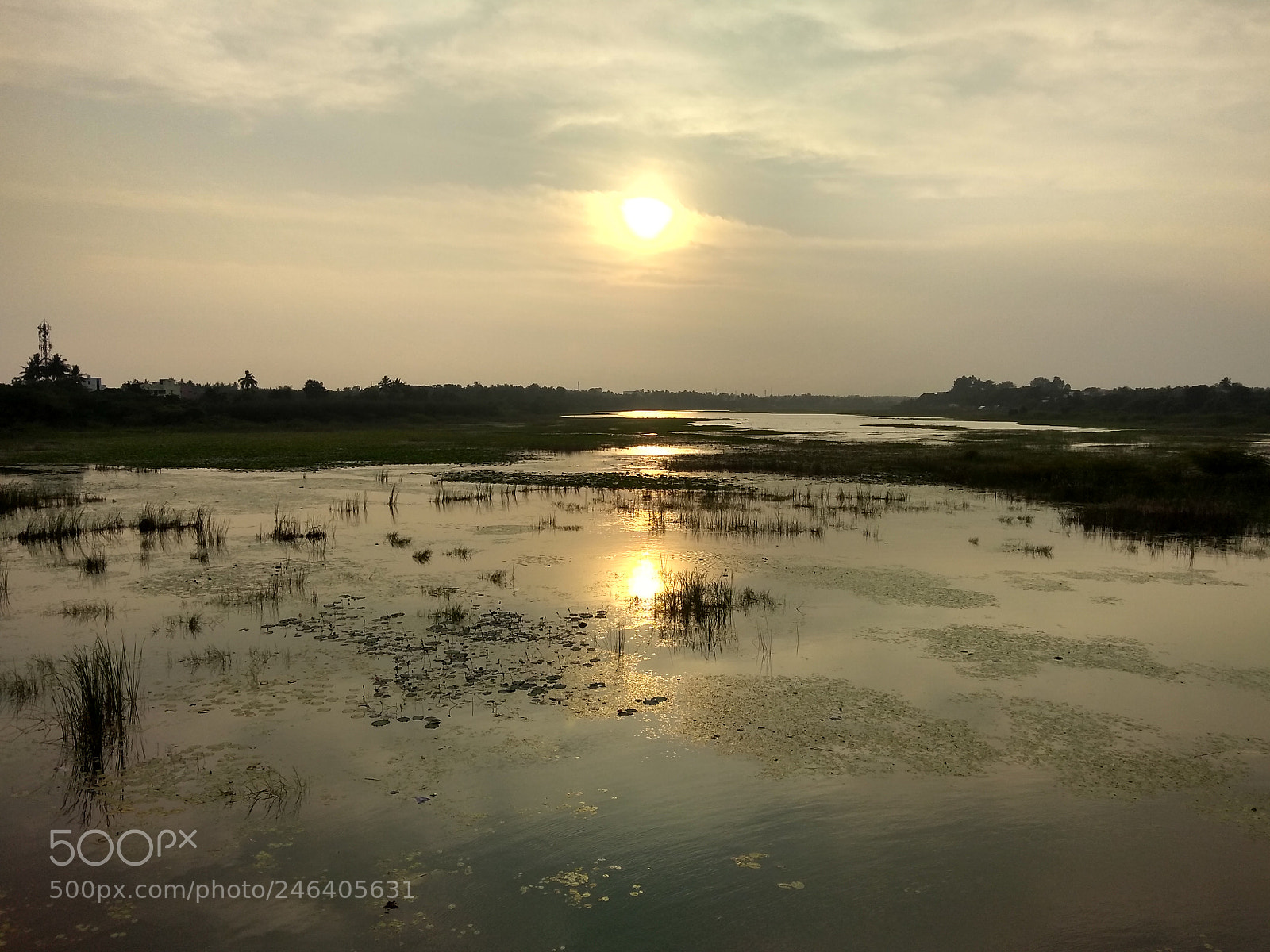Motorola Moto G (5S) Plus sample photo. Untitled photography