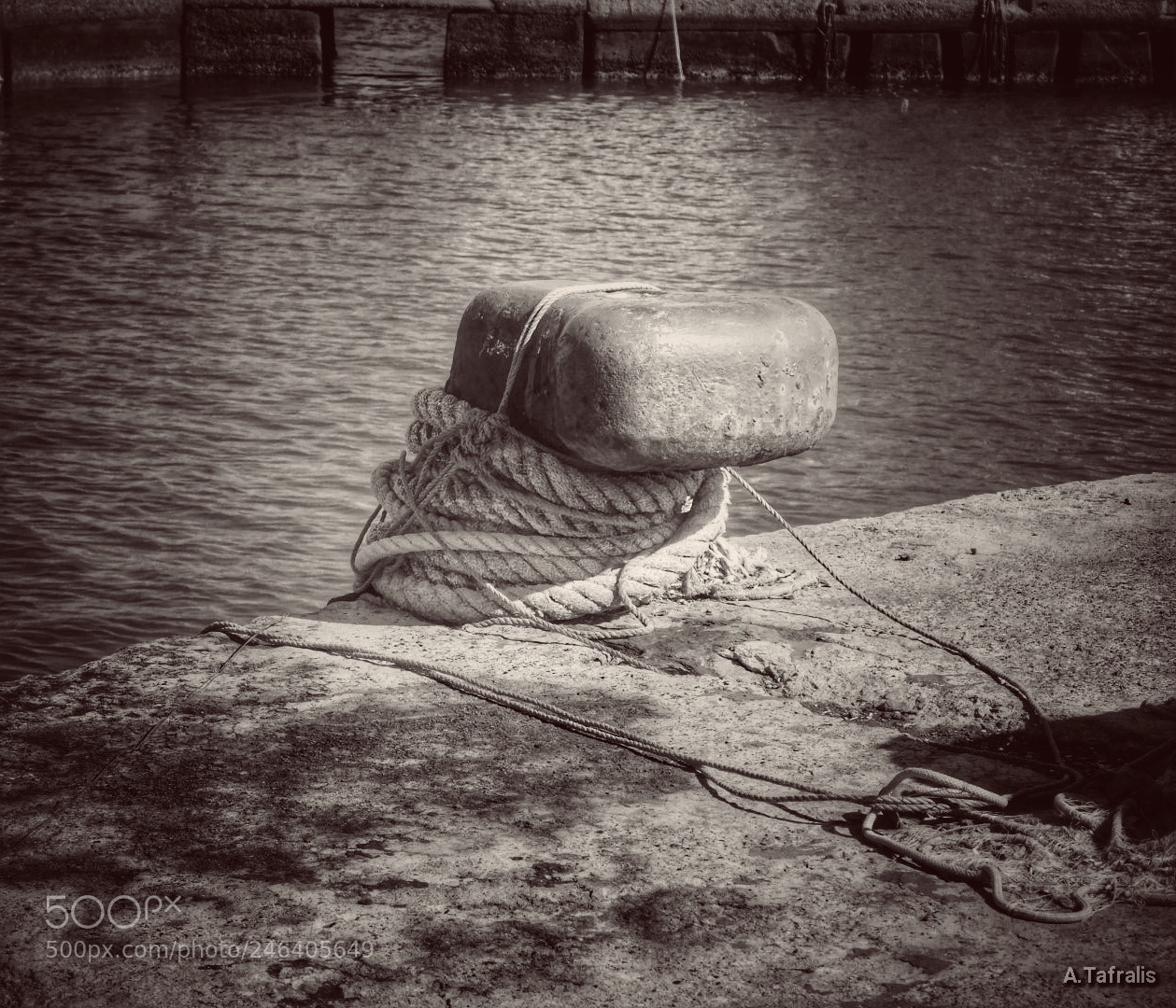 Nikon Coolpix B500 sample photo. Untitled photography