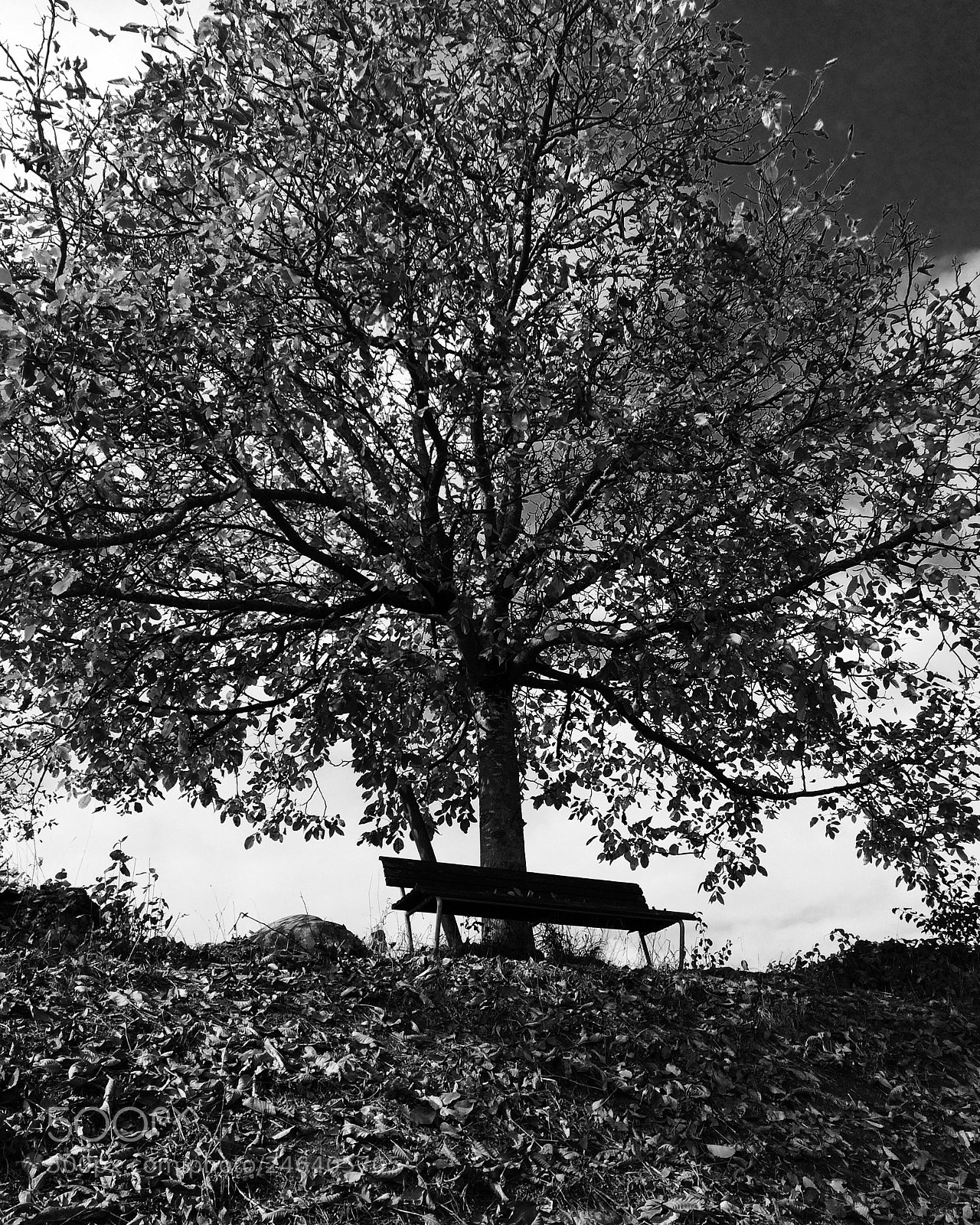 Apple iPhone 5s sample photo. Untitled photography