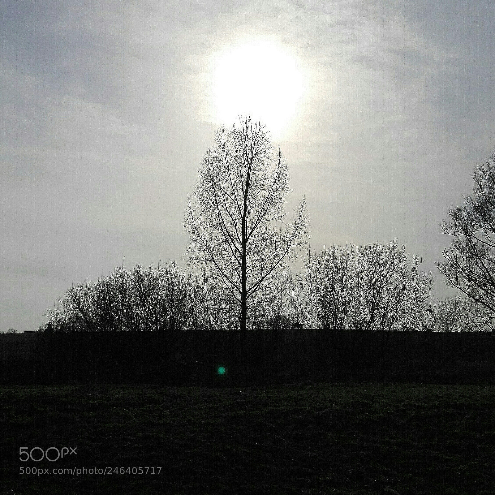 HUAWEI P8 Lite sample photo. Untitled photography
