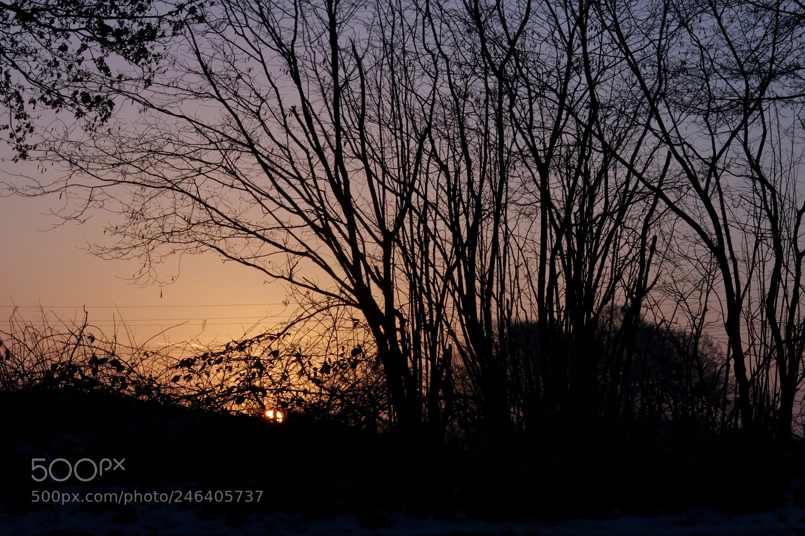 Canon EOS 760D (EOS Rebel T6s / EOS 8000D) sample photo. Sunrise in northern germany photography
