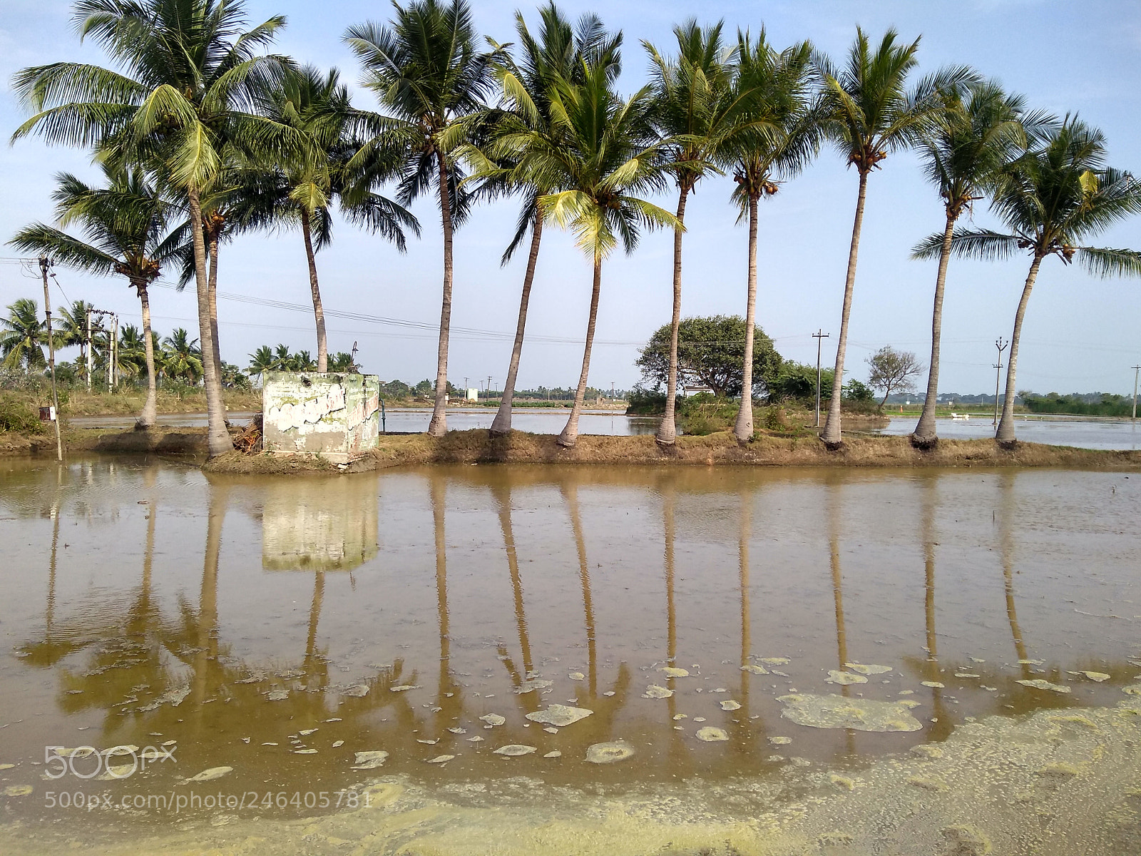 Motorola Moto G (5S) Plus sample photo. Untitled photography