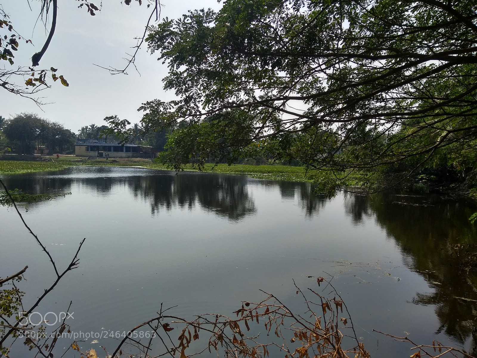 Motorola Moto G (5S) Plus sample photo. Untitled photography
