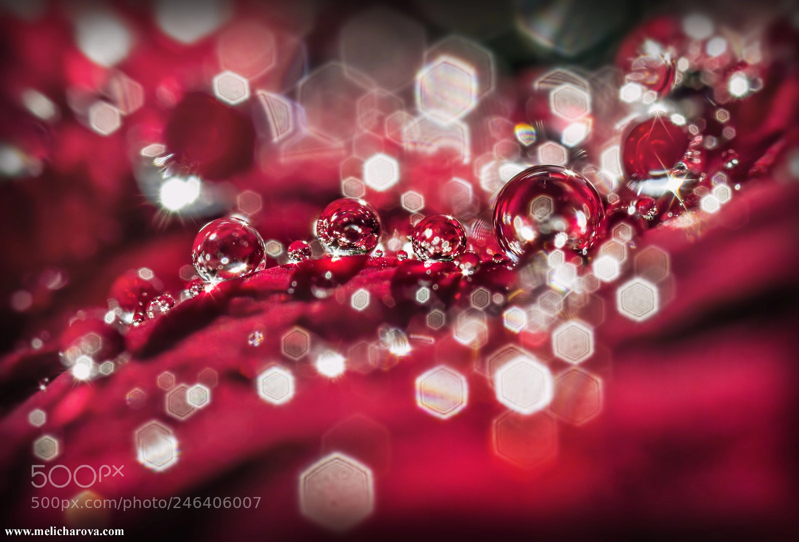 Canon EOS 60D sample photo. Red drops 2 photography